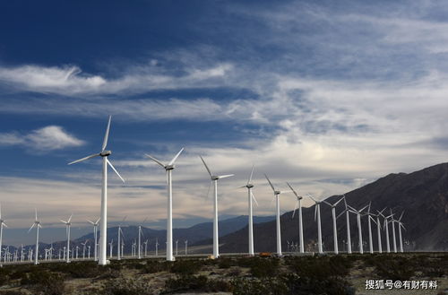 垃圾电还是印钞机？风力发电的国内外发展差异