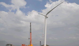 为什么风力发电机转得很慢却依旧能发电？