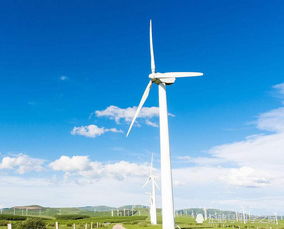风力发电的环保悖论 清洁能源为何可能加剧全球变暖？